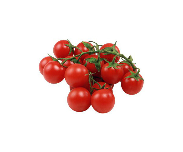 Naturprodukte, Bioprodukte, Oekoprodukte