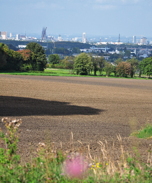 Stiftung Landwirtschaft