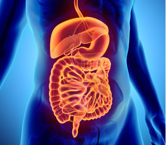 Magen- und Darmkrankheiten (Gastroenterologie